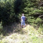 Pulling over to piss